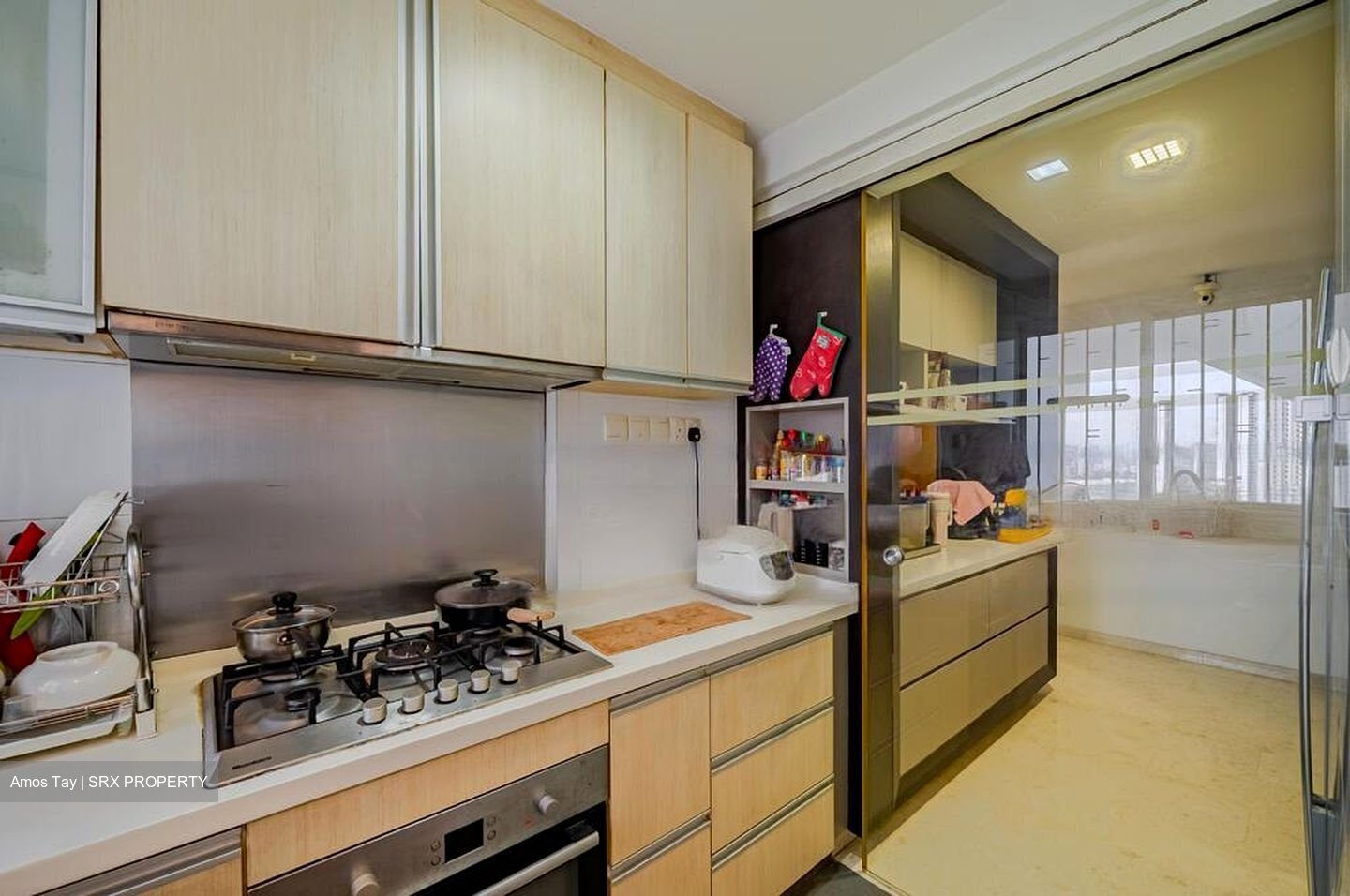 The Parc Condominium (D5), Condominium #457310361